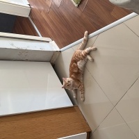 8 aylık a..