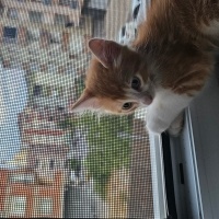 Oyuncu Uy..