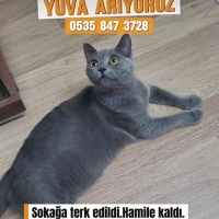 Acil geçi..