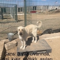 3 yaşında..