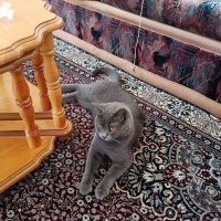 Çok uslu..