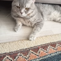Tatlı çoc..