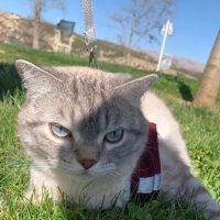 ANTALYA A..