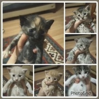 Ufak bebe..