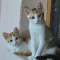 2 kardeş..