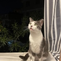Uyku bağı..