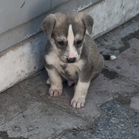 Sıcak bir..