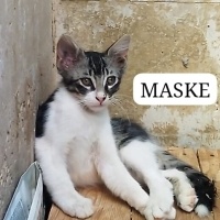 Dışarıda..