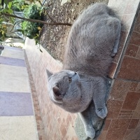 Tuvalet E..