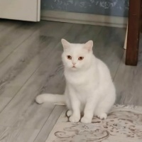 3 YAŞINDA..