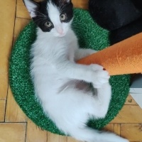 Güzel beb..