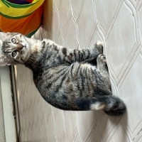 Minik kız..