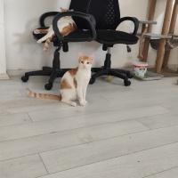 Sıcak yuv..