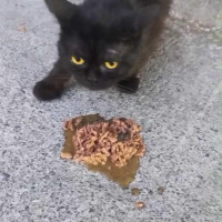 Ne yazık..