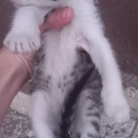 Annesiz bebegimize acil yuva arıyoruz