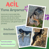 ACİLEN GE..