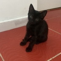 Anne ve M..