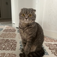 Çok uysal..