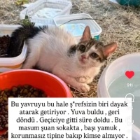 DAYAK YED..