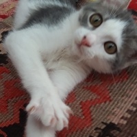 Bebeğimiz..