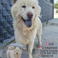 2 yaşında..