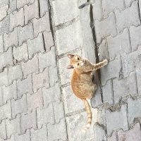 Sokağımız..