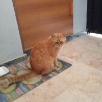 Ailem olu..