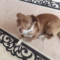 Kızımıza..