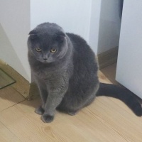 Bilge Oğl..
