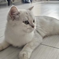 ÇOK ACİL..
