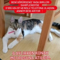 KAYIP İZM..