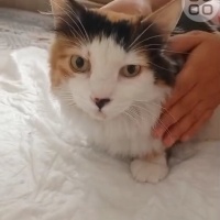 ÇOK ACIL..