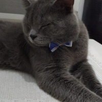 Duman ömü..
