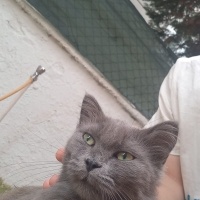 DUMAN ÜCR..