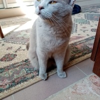 Oyuncu Yu..