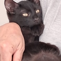 Zeytin me..