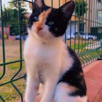 Çok güzel..