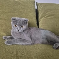 Çok uysal..