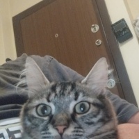 Yumusacik..
