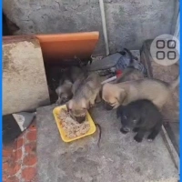 Tatlı beb..