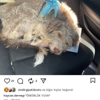 Çok kötü..