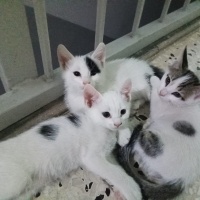 kış gelme..
