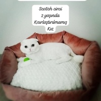 Mia yuva..