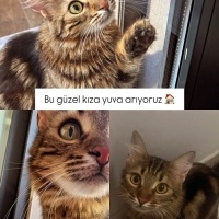 1.5 yaşın..