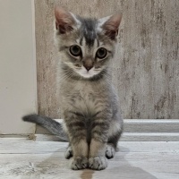 3 aylık b..