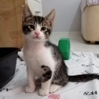 Minik kuş..