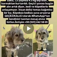 1 yaşında..