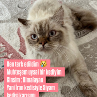 Terk edil..