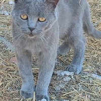 KÖY YOLUN..