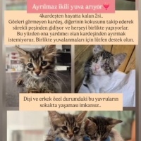 İnanılmaz..